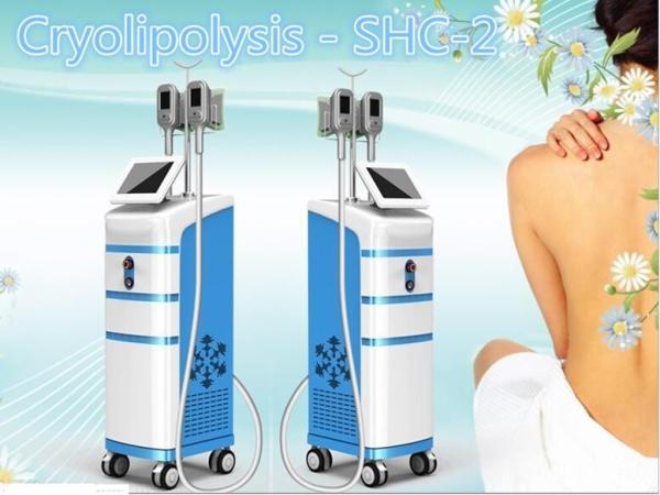 Newest Cryo & Cold Technology Cryolipo Lipo Cryo Slimming Machine+cavitaion