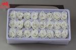 Wholesale real preserved rose stabilized natural preserved fresh flowers for