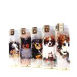 ISO9001 Certification Custom Cigarette Butane Gas Plastic Electric Disposable