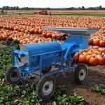 Large Capacity 18KW Seeds Remove Pumpkin Seed Extract Powder And Harvester