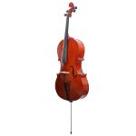 Spruce Top Flamed Chinese Maple Back Cello (CH200W) Both are soft wood that