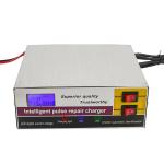 12V 12A 24V 6A Pulse Repair Lead Acid Battery Charger Private Mold Output Power