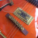 Hollow body jazz electric guitar, Double F holes,Ebony Fingerboard,Tremolo