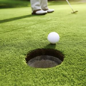 Wholesale Curled 10mm Artificial Grass For Golf Putting Green Luxury Mini Good Elasticity from china suppliers