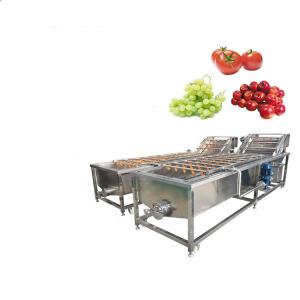 Wholesale 1200kg/H Apple Pear Mango Fruits And Vegetables Cleaning Machines from china suppliers