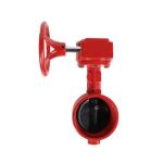 DN50-DN200 XD381X-16Q Hand Wheel Groove Butterfly Valves with Diaphragm