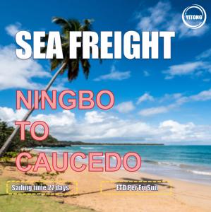 Wholesale 27 Days Sea Freight Shipping Agency From Ningbo To Caucedo Dominican Republic from china suppliers