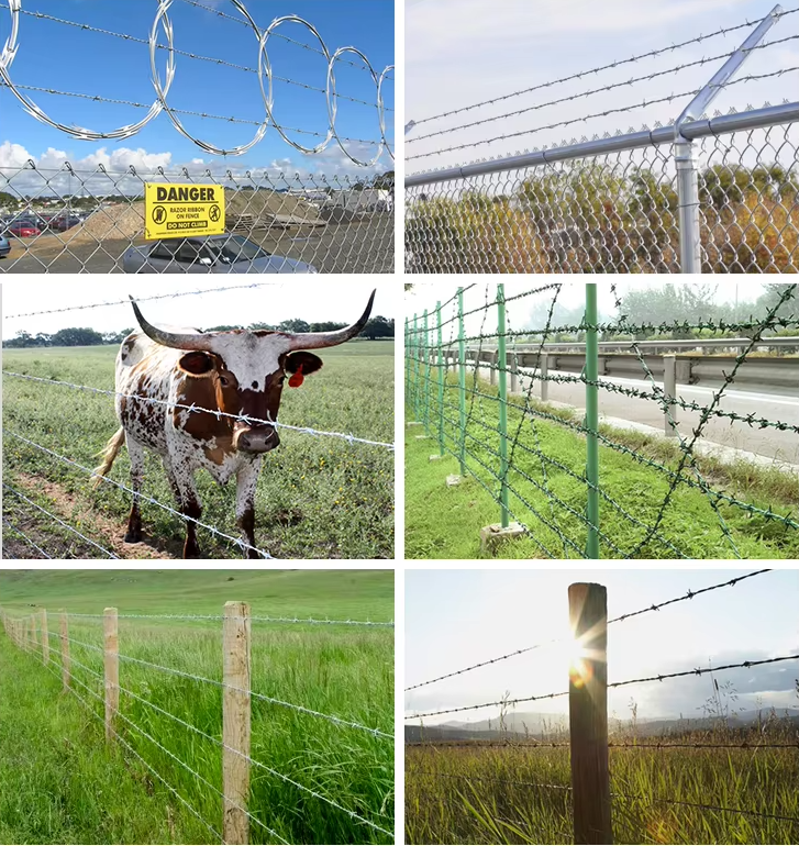 14 Gauge Double Twisted Electric Galvanized Barbed Wire for High-Security Border Protection