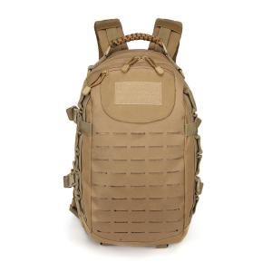 Wholesale Outdoor Training Waterproof Backpack with Molle System and Physiological Curve Back from china suppliers