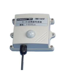 Wholesale SM2160V Voltage-illumination instrument Light sensor Illuminance meter from china suppliers