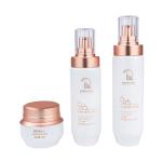50g/100ml/120ml Glass White cylindrical Smooth with white pump for cosmetic