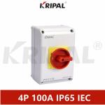 Waterproof 3 phase Rotary Isolator switch High Voltage 100A IP65 IEC standard