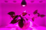 Eshine cob programmable grow led light for vegetable agriculture growth