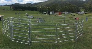 Wholesale 20 Round Corral Panels Inc Gate, Round Yard, Cattle Fences, Corral 14m Diameter from china suppliers
