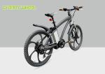 25km/H Electric Mountain Bicycle , Magnesium Alloy Electric Mountain Bikes For