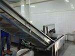 Industrial Durable Prawn Cleaning Machine , Anti Corrosion Carp Processing Plant