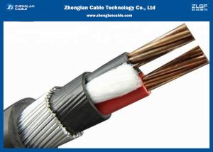 Wholesale 0.6/1KV Two Cores unarmoured XLPE Insulated Power Cables（CU/XLPE/LSZH/DSTA）Nominal Section：2*1.5~2*400mm² from china suppliers