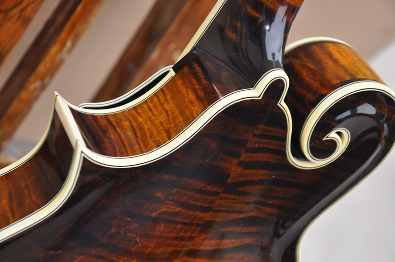 Handmade custom advanced 8 strings QT-F5 mandolin electric guitar with ebony fretboard