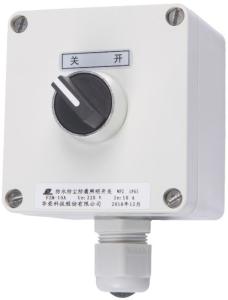 Wholesale FZM Weatherproof Illumination Switch Hang Mounting 250V 10A from china suppliers