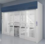 Desktop Laboratory Fume Hood Walk In Ducted Fume Hood Science Work Bench