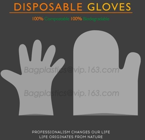 Wholesale disposable gloves, plastic gloves, biodegradable gloves, compostable