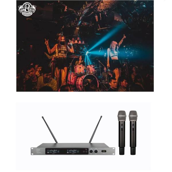 UHF Dual Channels Professional Smartphone Karaoke Speaker With Wireless