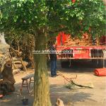 Large Fiberglass Material Artificial Ficus Tree Faux Banyan Plant For Outdoor