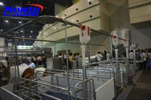 Wholesale High Efficiency Automatic Pig Farming Equip Pig Feeding System from china suppliers
