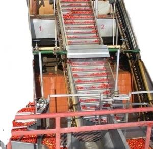 Wholesale 4000-6000bph Fruit Juice Filling Production Line For Apple Juice /Orange Juice / Tomato Paste from china suppliers