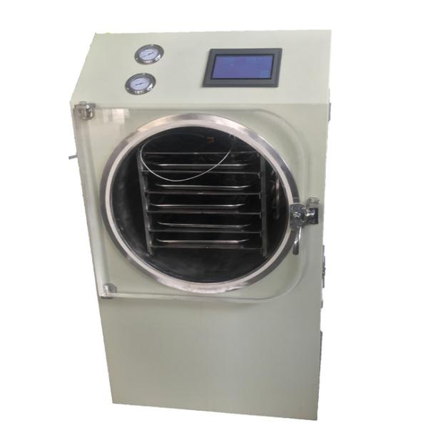 Stainless Steel Portable Food Freeze Dryer Beautiful Appearance Real Timely
