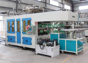 Wholesale CE Pulp Molding Equipment for Disposable Sugarcane Bagasse Fiber Tableware from china suppliers