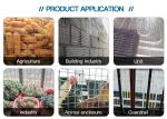Hot Sale China Manufacture Quality Welded Wire Mesh Size 3/4 X 3/4 Hot Dipped