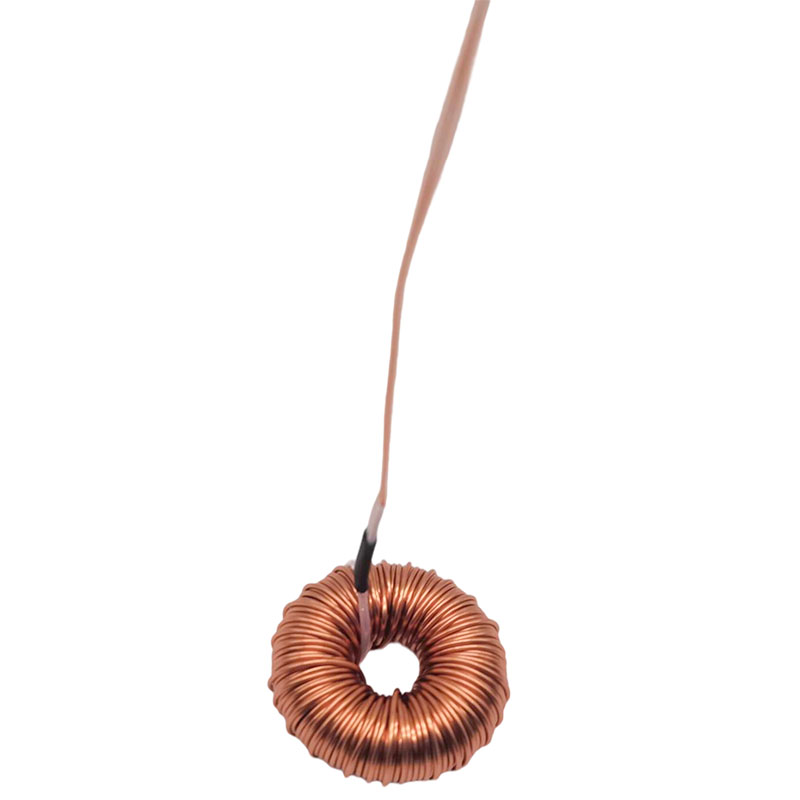 30A 22uH Toroidal Magnetic Inductor Toroid Inductor