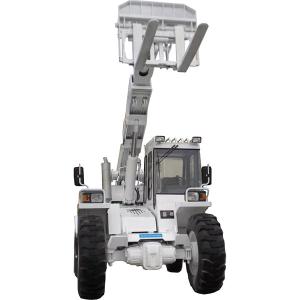 Wholesale WEA25-4 Farm and Agriculture Machinery Heavy Equipment Telescopic Forklift Teleh from china suppliers
