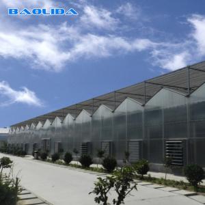 Wholesale Commercial Blackout Polycarbnote Sheet Greenhouse Customized Eco Friendly from china suppliers