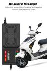 48V 20Ah 60V 20Ah 72V 30Ah Battery Charger for Electric Scooter Five Lamps Lead