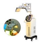 Professional Infrared PDT Led Light Therapy Machine For Skin Rejuvenation And