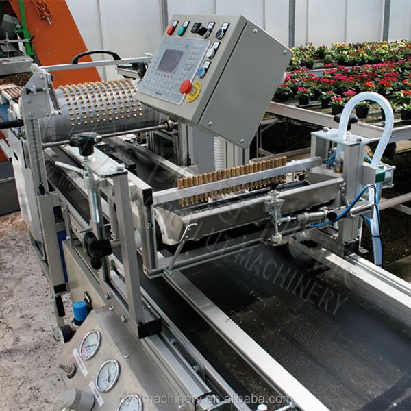High Seeding Accuracy Automatic Eggplant Lettuce Cucumber Seeds Trays Planting Machine for Seedlings Transplant