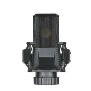 Wholesale Low Distortion V22 16 KHz Condenser Mics , Microphone For Pc Recording from china suppliers
