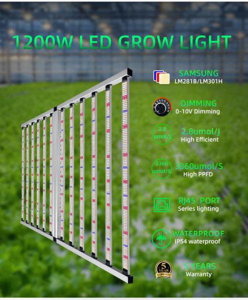 Foldable 1200W LED Grow Light UV IR Energy Efficient For Indoor Gardening