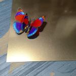 High Quality Sand Blasting Etching Finish Cold Rolled Decorative Stainless Steel