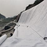 PP PET Geotextile for Landfill Project Non Woven Geo Fabric Needle Punched