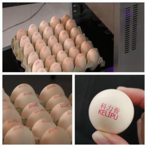 Wholesale Original Egg Print Silver Head For Inkjet Printer One Year Warranty from china suppliers