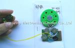 Push Button recordable sound chips For Birthday Greeting Card