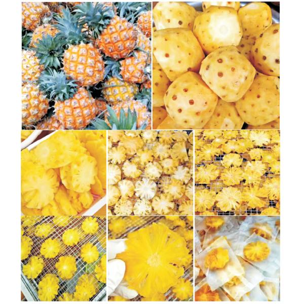 Large Capacity 1000kg/hour CE/ISO9001 Certified Fruit Drying Machine with Low Temperature Drying (10-30℃) and Heat Pump Dehumidifier