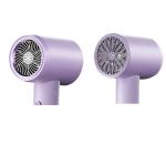 2000W Fast Drying Low Noise Quiet Negative Ion Blue Light Professional Hair