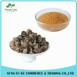 Factory Direct Supply Top Quality Used to Cure Liver Diseases Moringa Seed