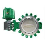 Fisher GX Control Valve 3582I 3582G Valve Positioner 67CFR 67DFR Filter