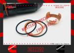 4903319 3095040 4902921 4903084 3411754 4928171 Common Rail Injector For Cummins