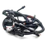 Excavator Engine Wiring Harness 4943176 for Long-Lasting QSL9 QSC8.3 Diesel